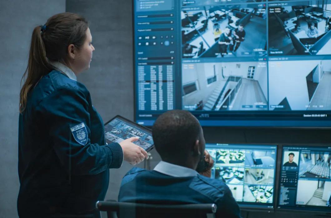 Surveillance and access control for physical business security in Lafayette